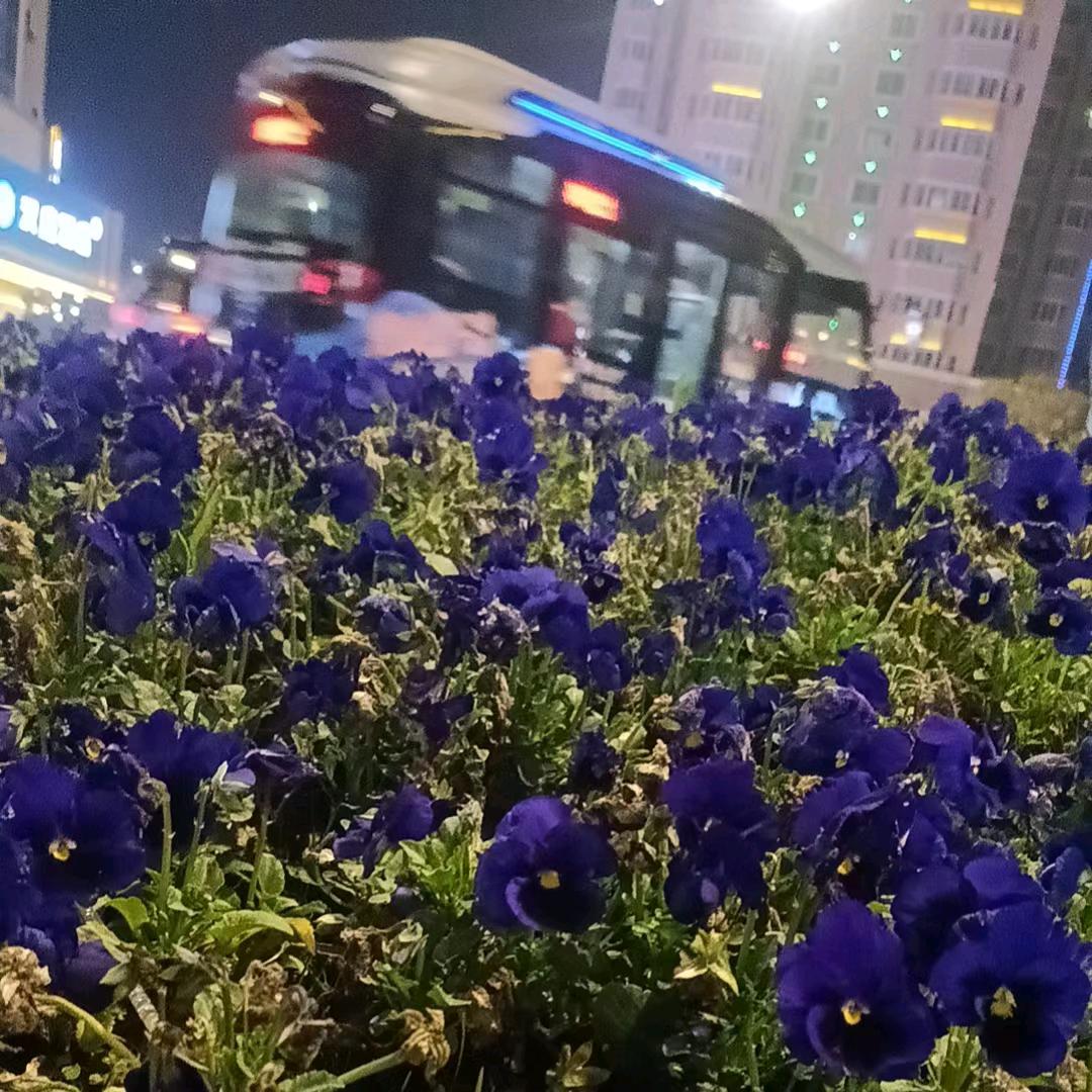 哒不刘！