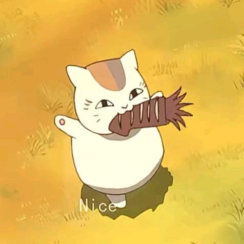 仄言（三角洲护航代肝）