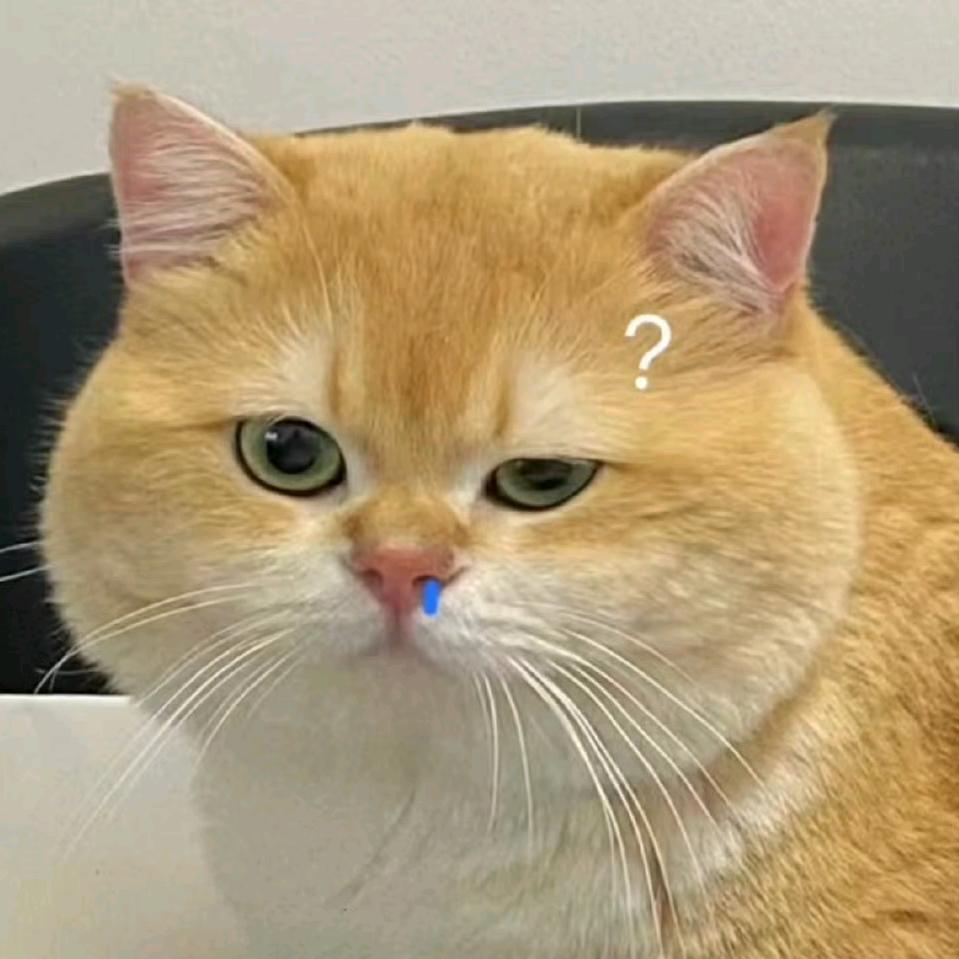 香辣烤苕皮