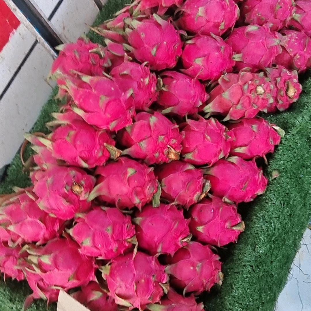 陈芳