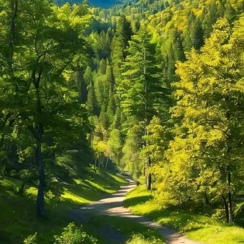 赛菲尔黄金珠宝好物分享