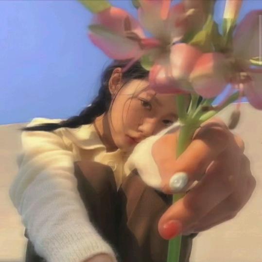 🌈等风来不如追风去🌈