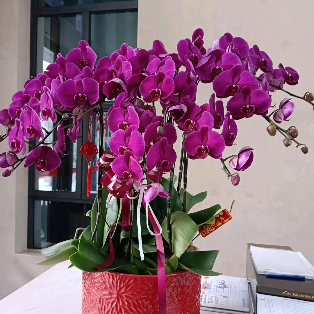 用户79369李建良297