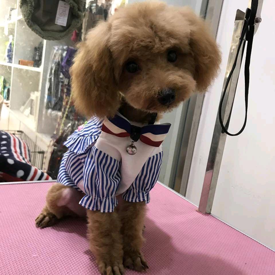 阿宝妞