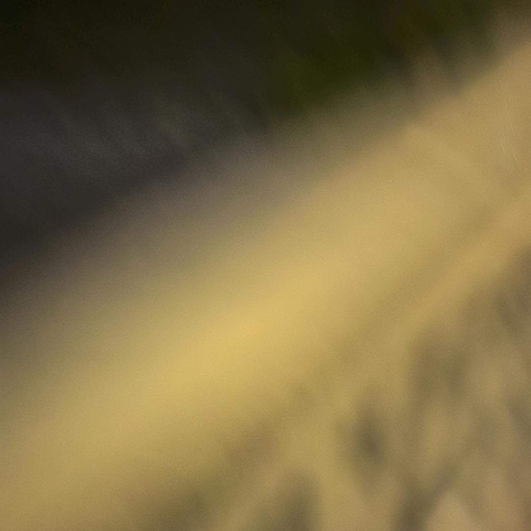 浪漫的草莓🍓
