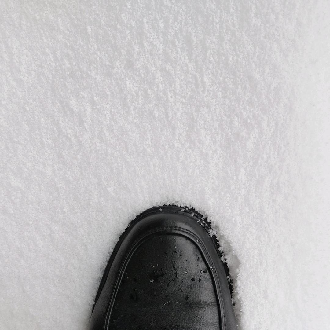 士土王