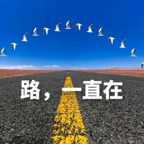 路延庆