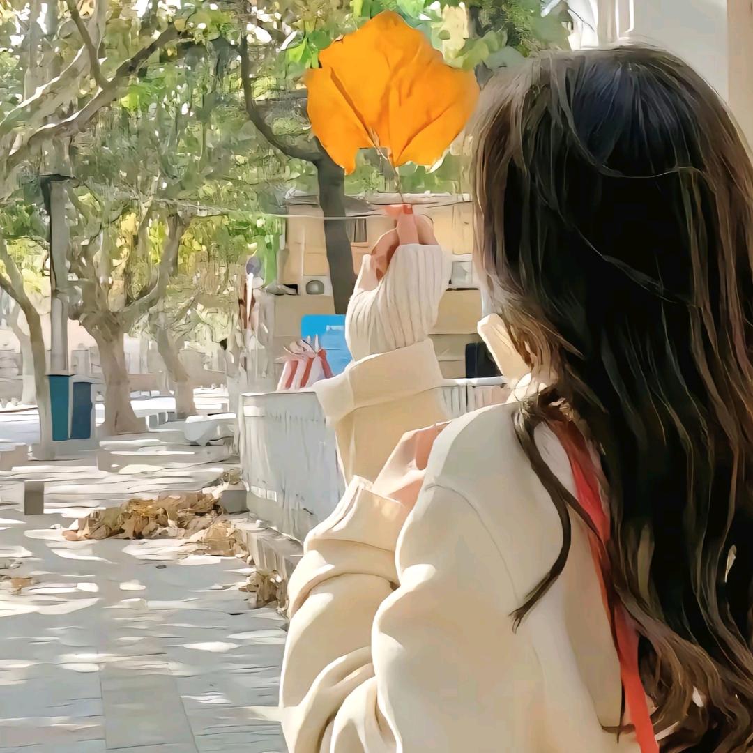 晚风的秘密^🍧