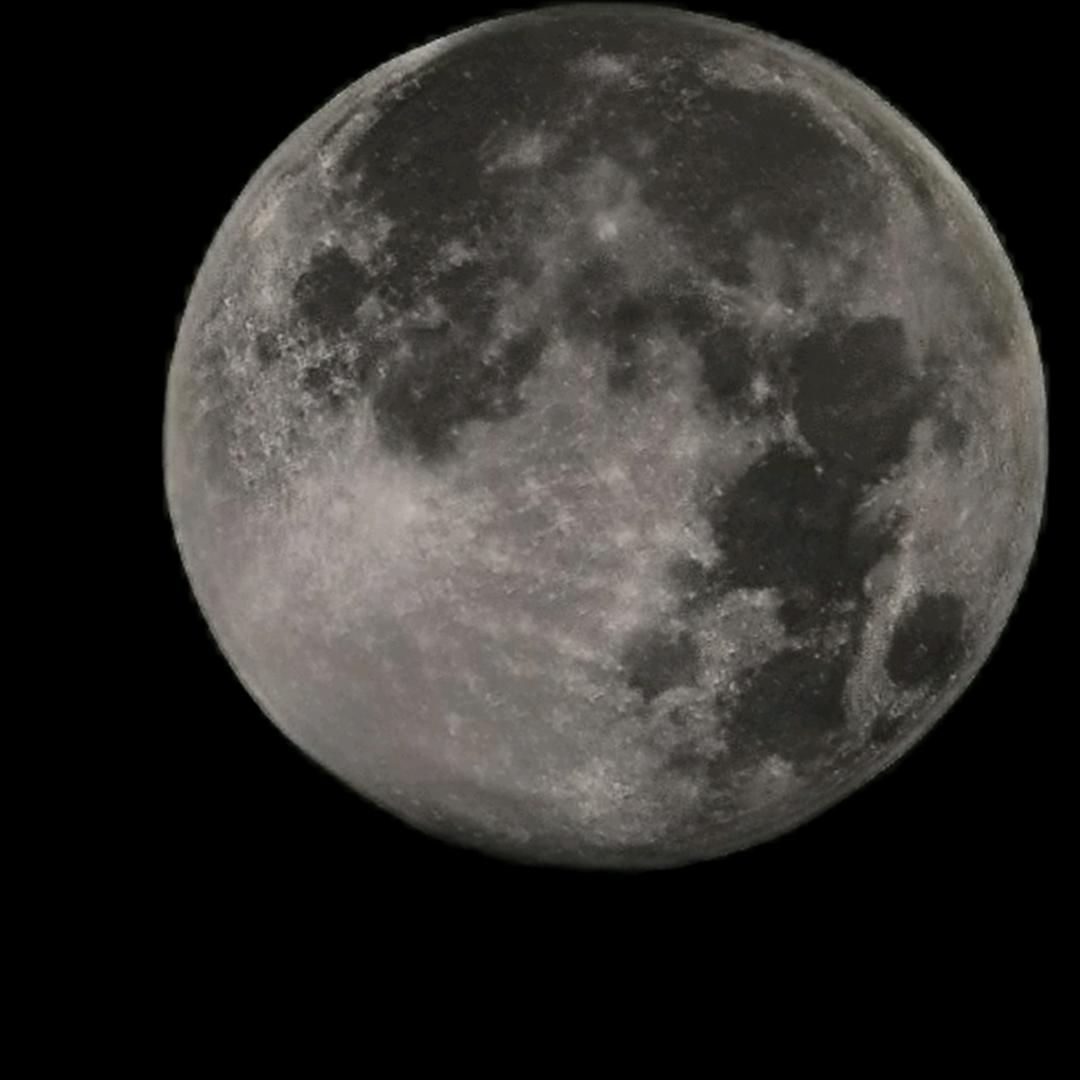 重生之 玩小游戏