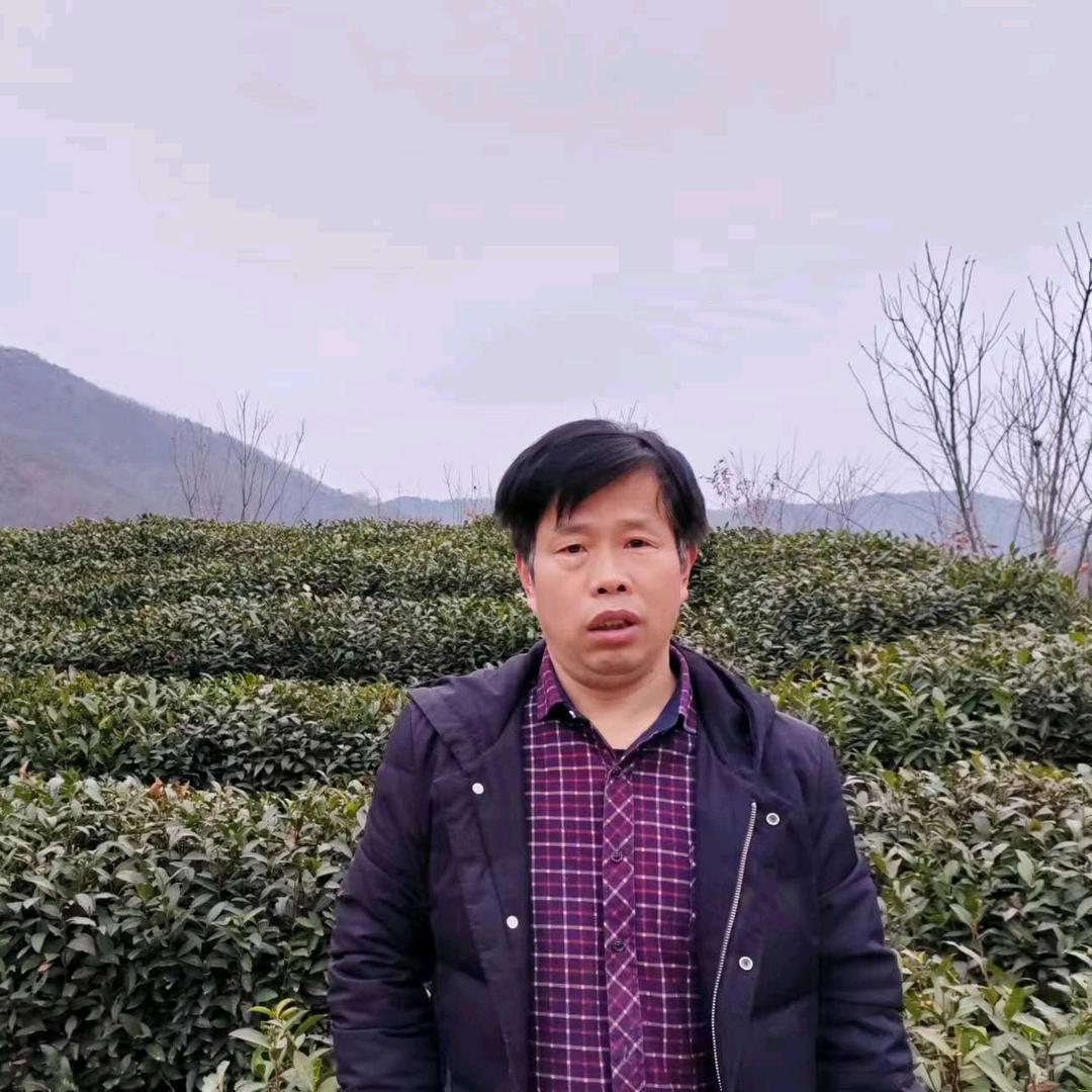 自强哥毛尖