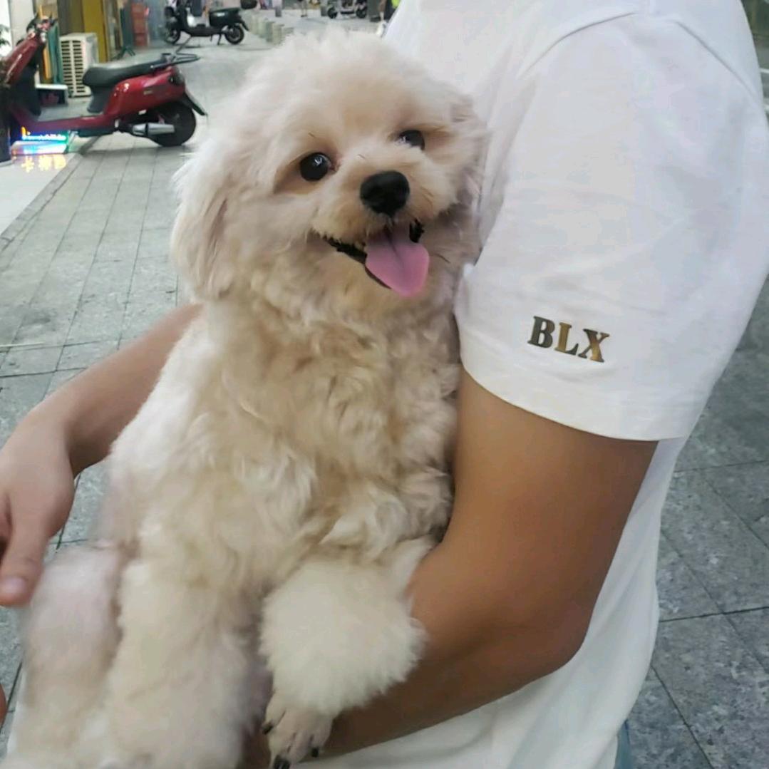 恍然如梦