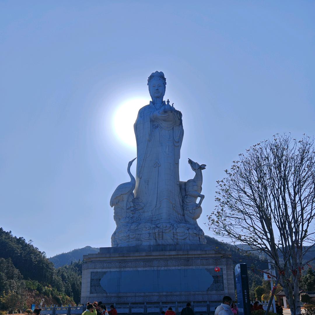 (๑全>网<通๑）