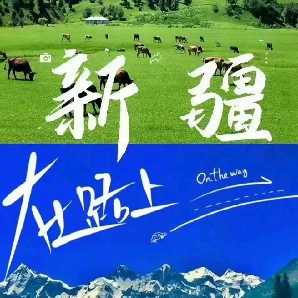 新疆高品旅游（甄选直播间）
