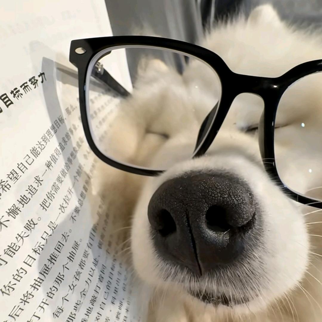 就是奶油蛋糕