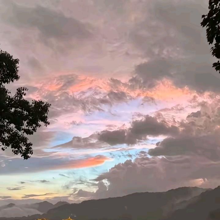阿霖.