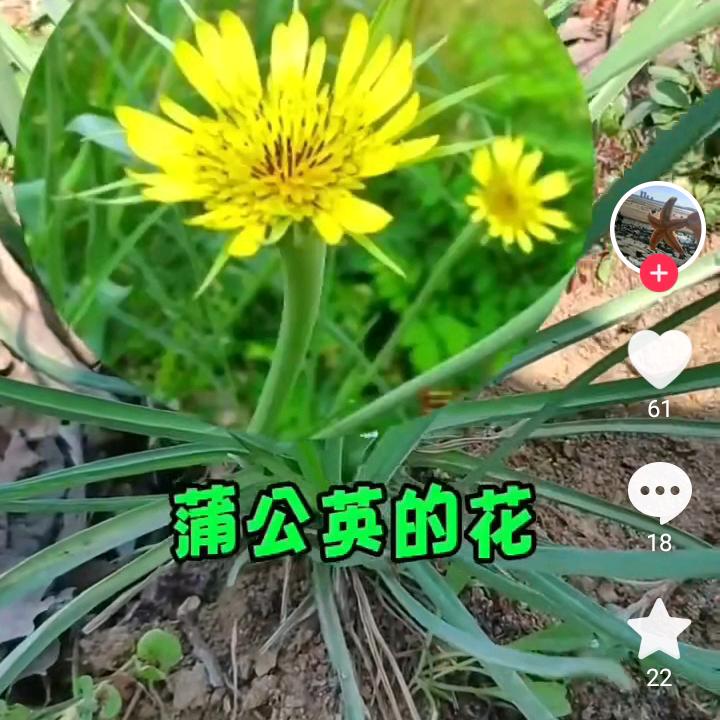 医药情