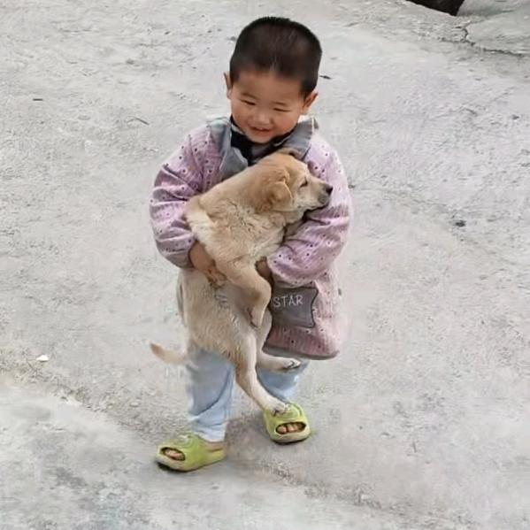 军弟乡村寻犬