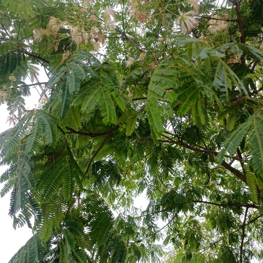 怏乐的一天