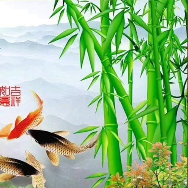 田笑宇