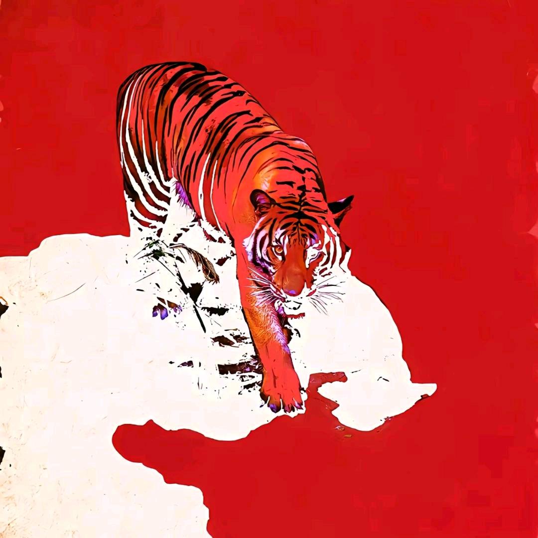 马wj