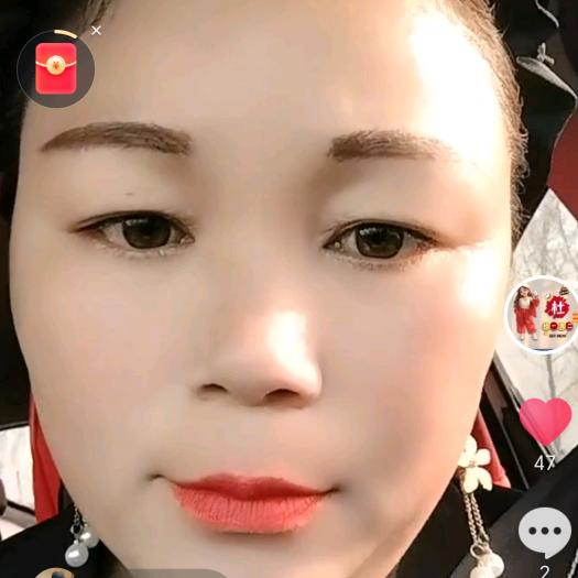 卢家儿媳妇