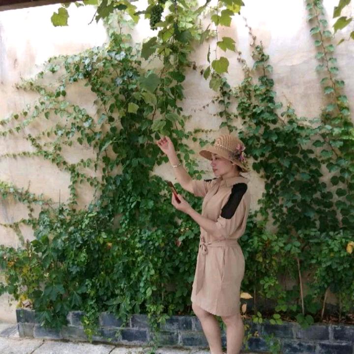 乡村生活，感悟人生🌺