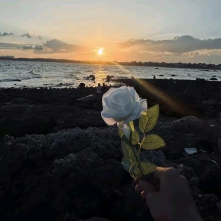 濮职安安（驾校劳务合作）