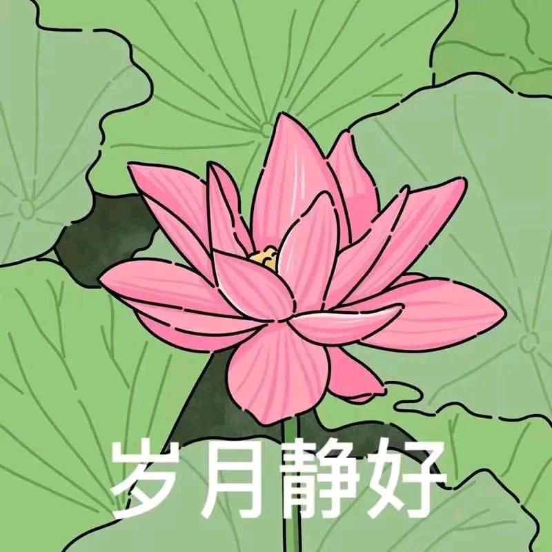 午后阳光