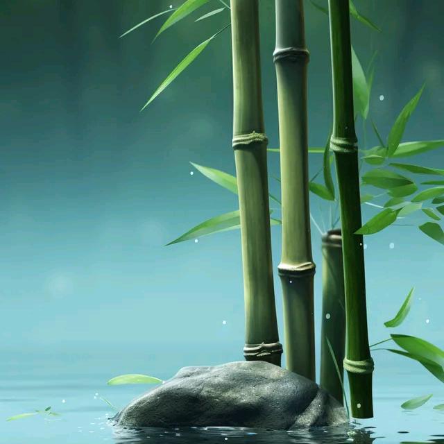 感悟生活