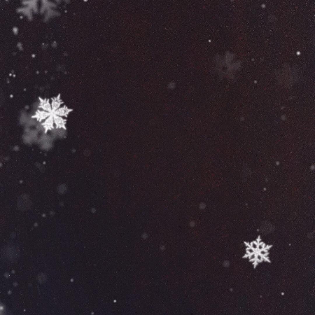 芭芭拉
