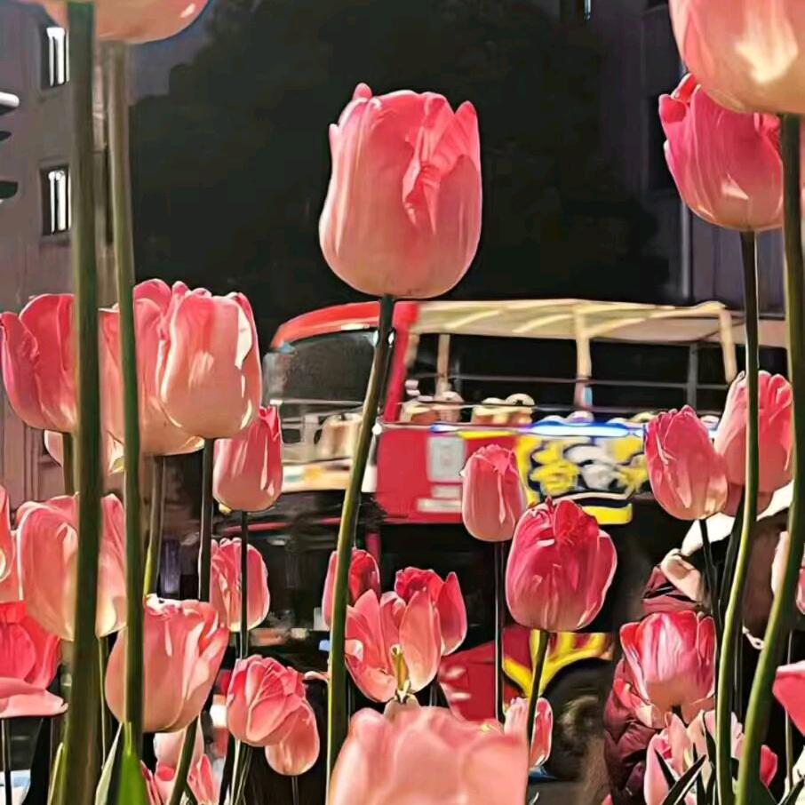 ˃ʍ˂是于不是🐟