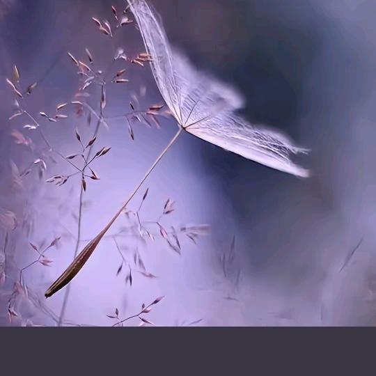 💞ঞᩚ᭄ꦿꕥ້໌ᮨ💕