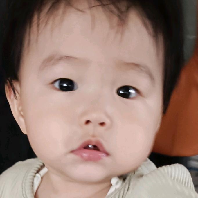 六个金子鑫鑫