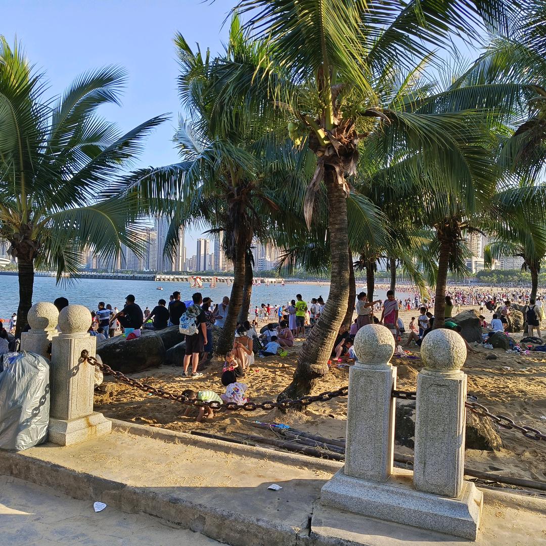 👏一夕半夏👏