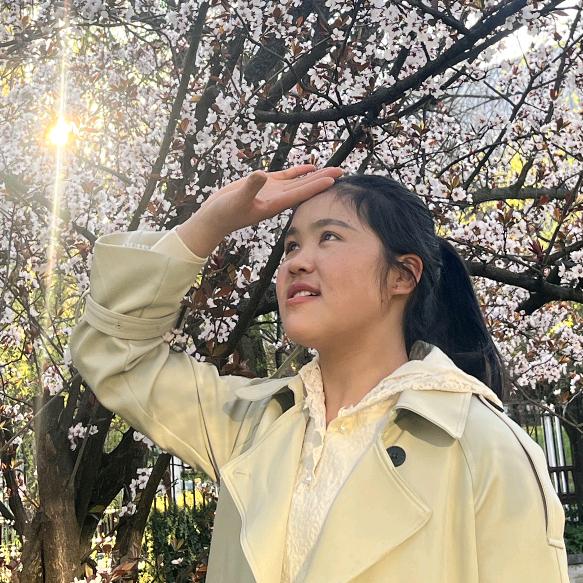 小杨老师|桦栋教育培训学校