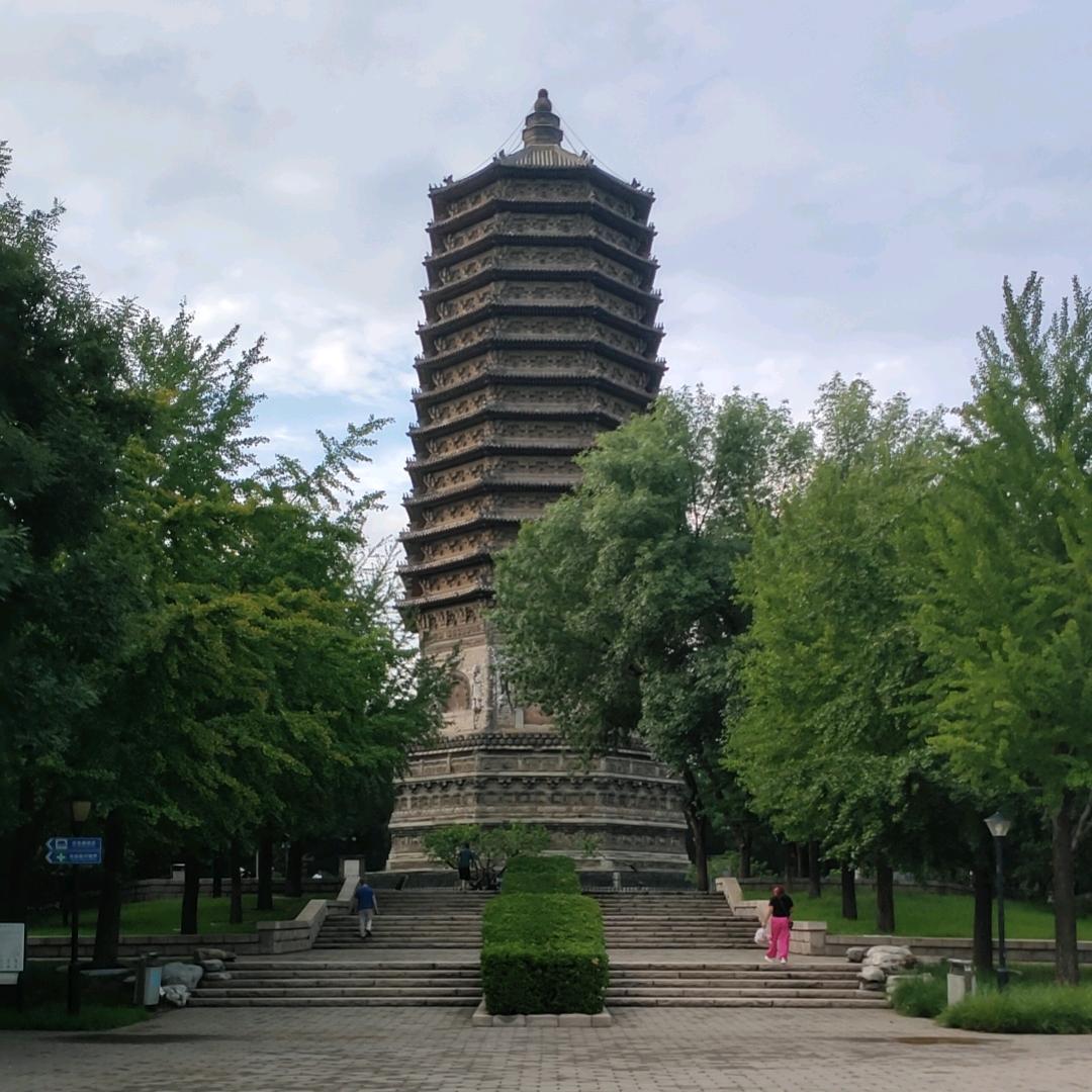 一笑🍁而过