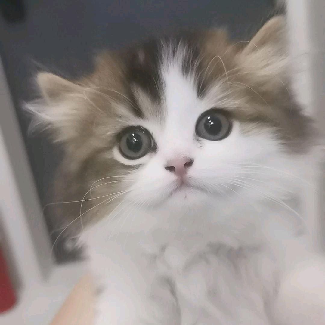 惠农优鲜