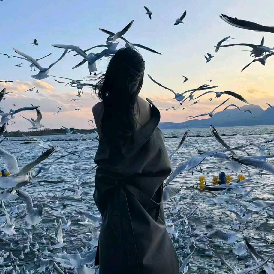 鼠鼠狸狸