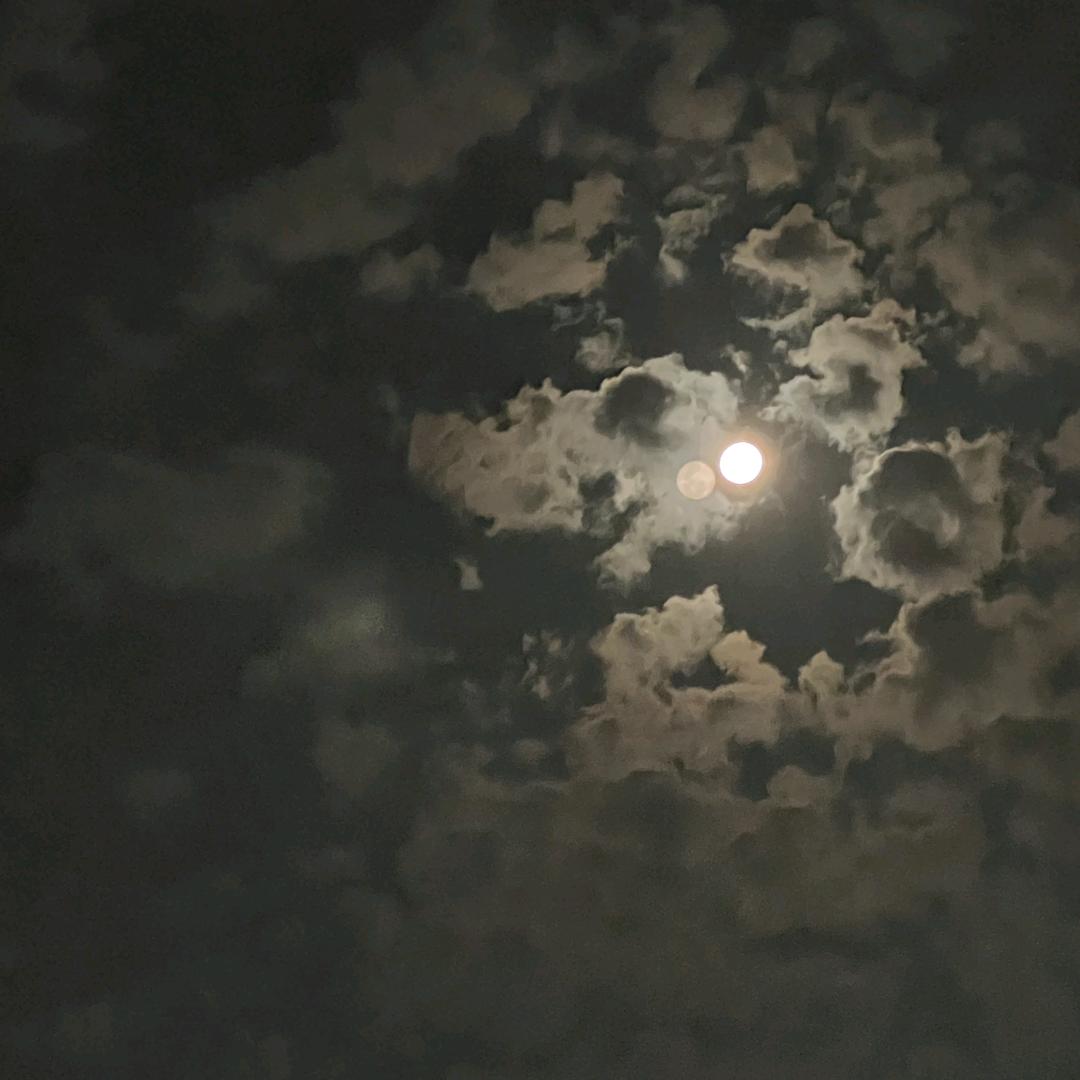 小程序App 网站开发