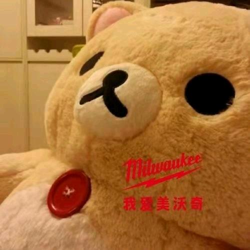澳门占美宝宝