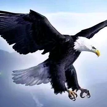 ঞ᭄往事随风໊ഒᩚ࿐