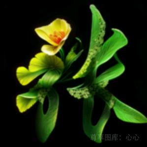 一切随缘