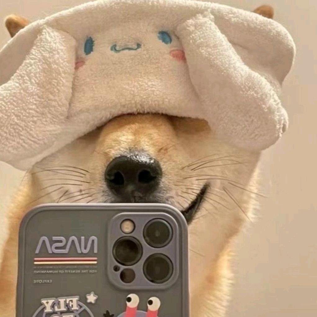 想要小米su7的大女孩