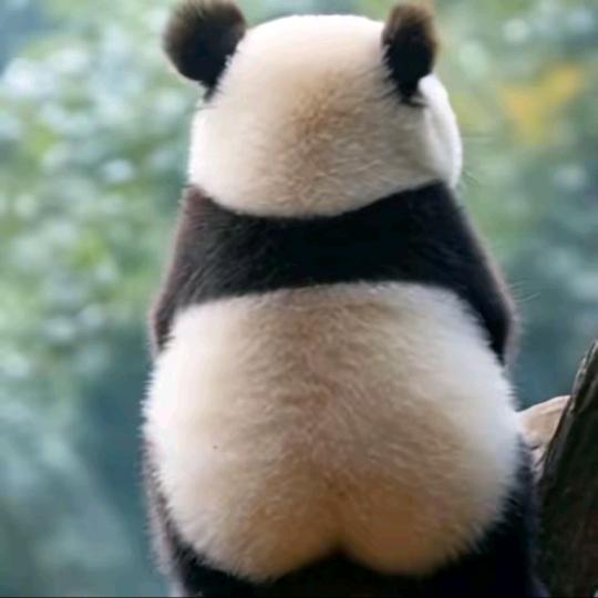 𝑭𝒓𝒆𝒆𝒅𝒐𝒎