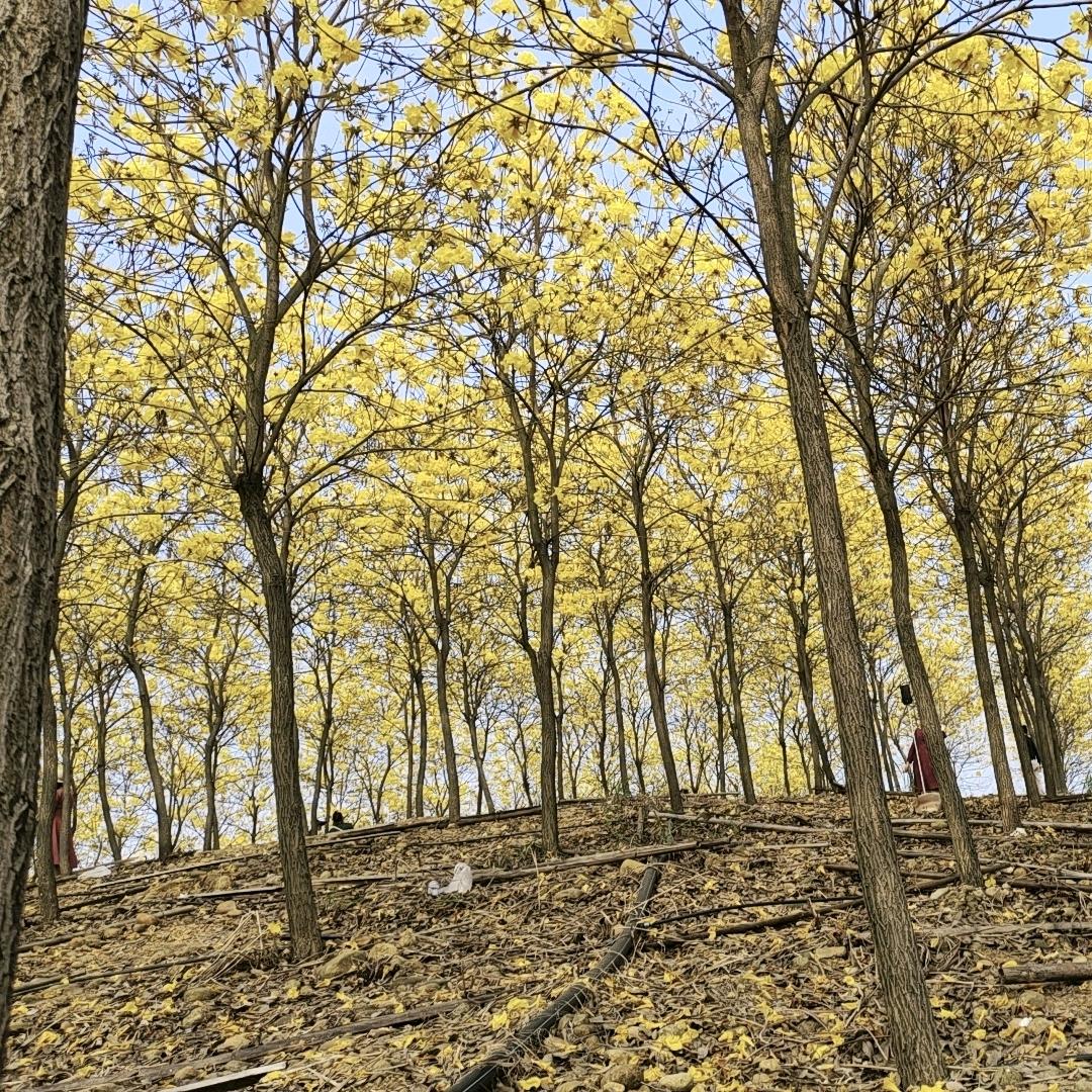 珍惜眼前人*^_^*