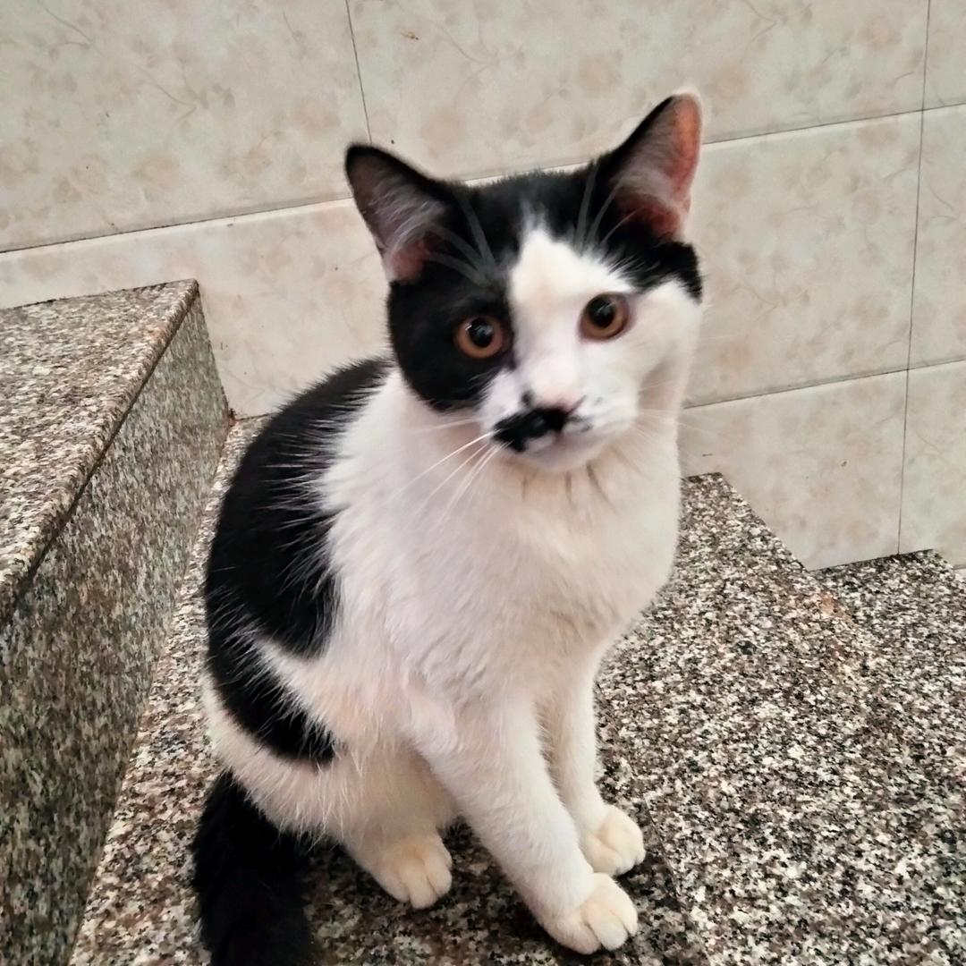 婷婷☆