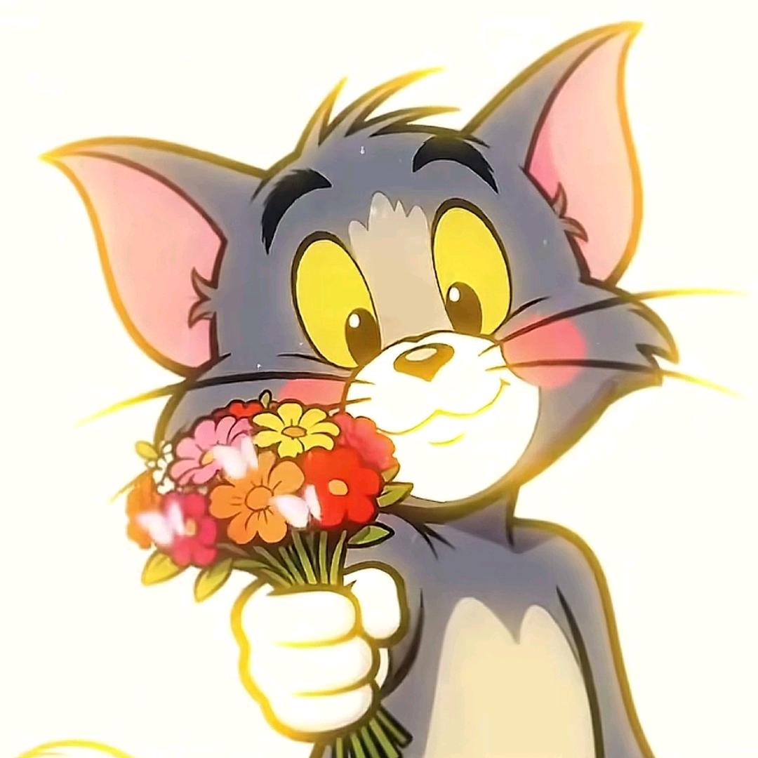 。。。。