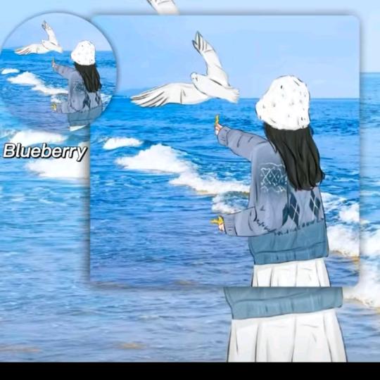 蟹老板带你玩jH