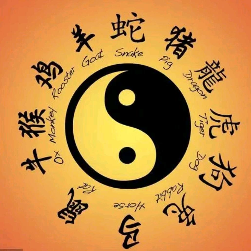 chebuzhidao