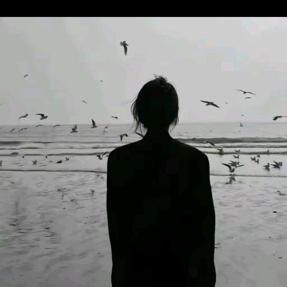 ℒℯ时迁 ♡꙼̈